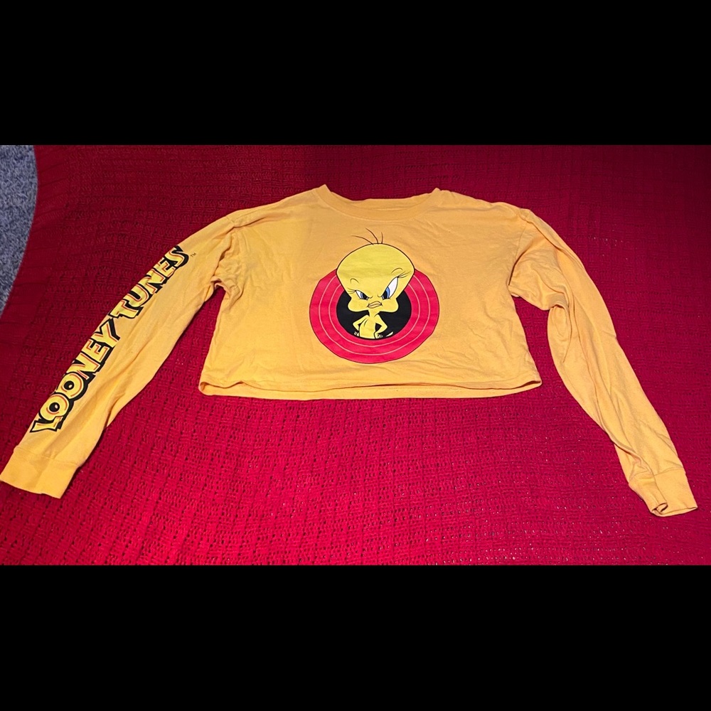Long sleeve graphic crop top